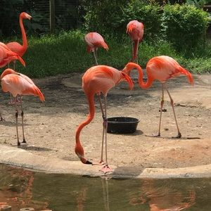 Meet your Posher, Kendra